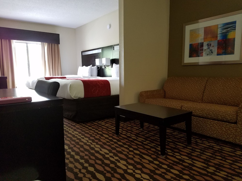 Comfort Suites Northside Hospital Gwinnett 19/47