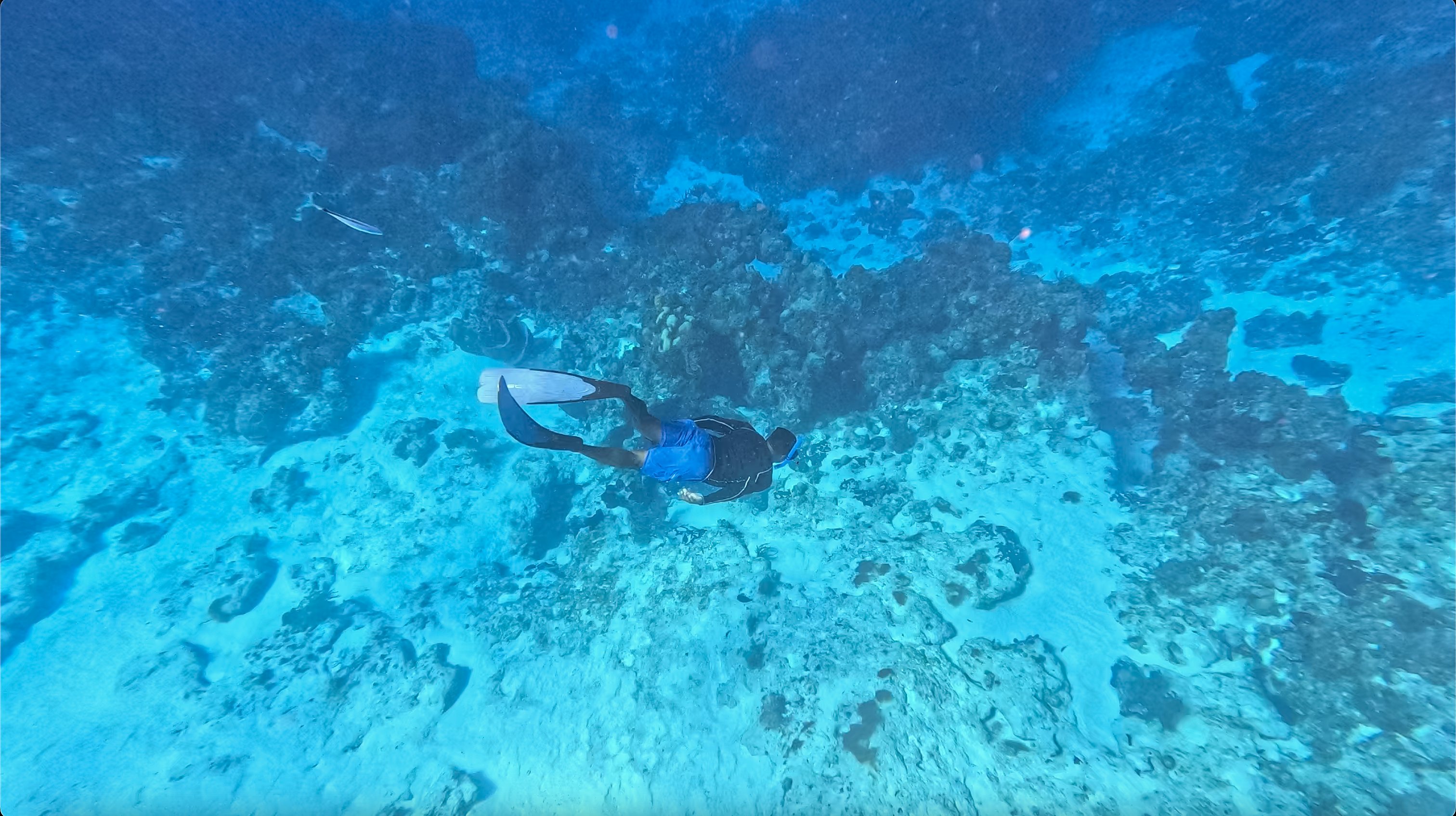 The Explorean Cozumel All Inclusive 25/50