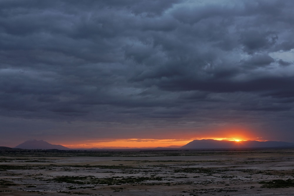 Amboseli Serena Safari Lodge 77/81
