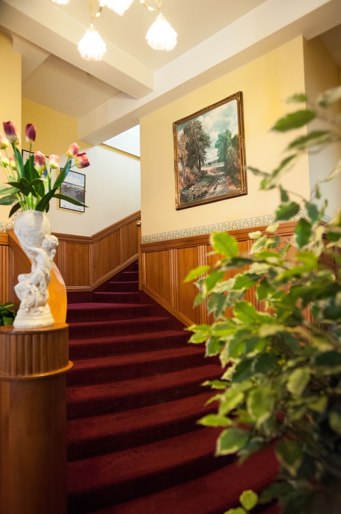 The County Hotel 5/50