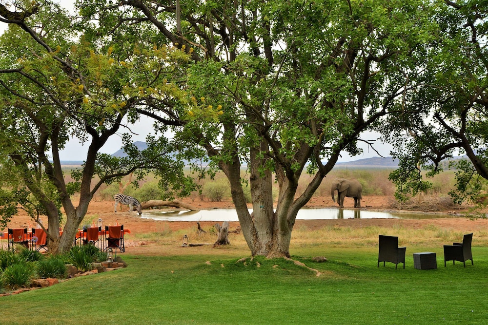 Last Word Madikwe 73/77