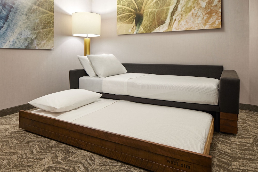SpringHill Suites Frederica 10/31