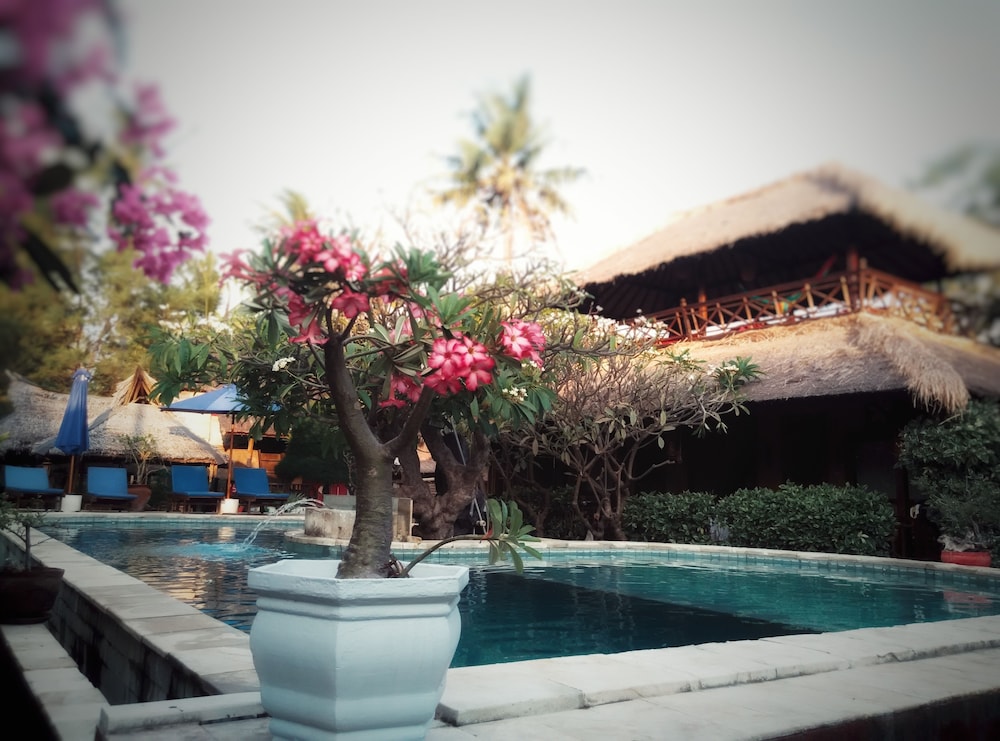 Sejuk Cottages 44/50