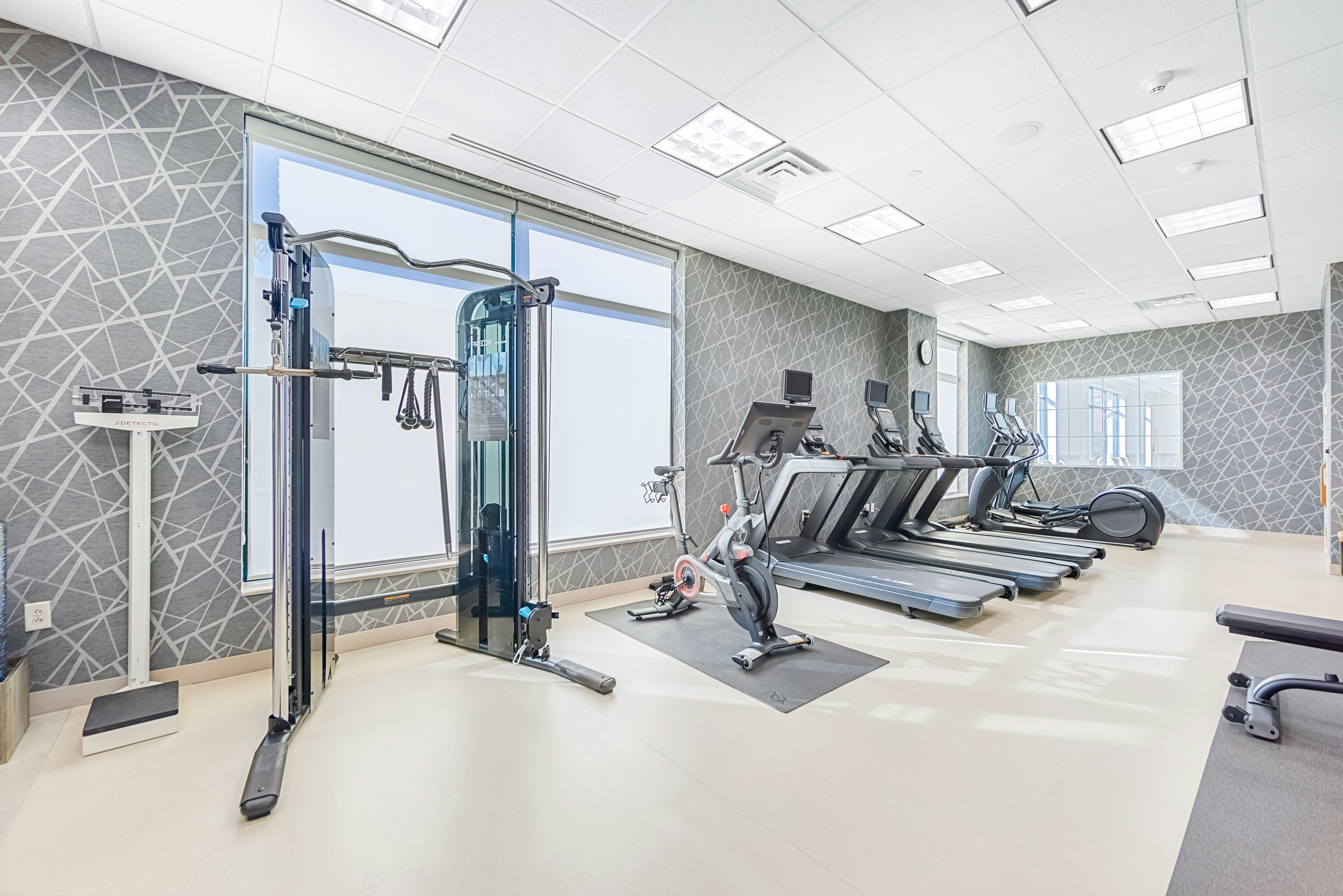 Homewood Suites by Hilton East Rutherford - Meadowlands, NJ 40/81