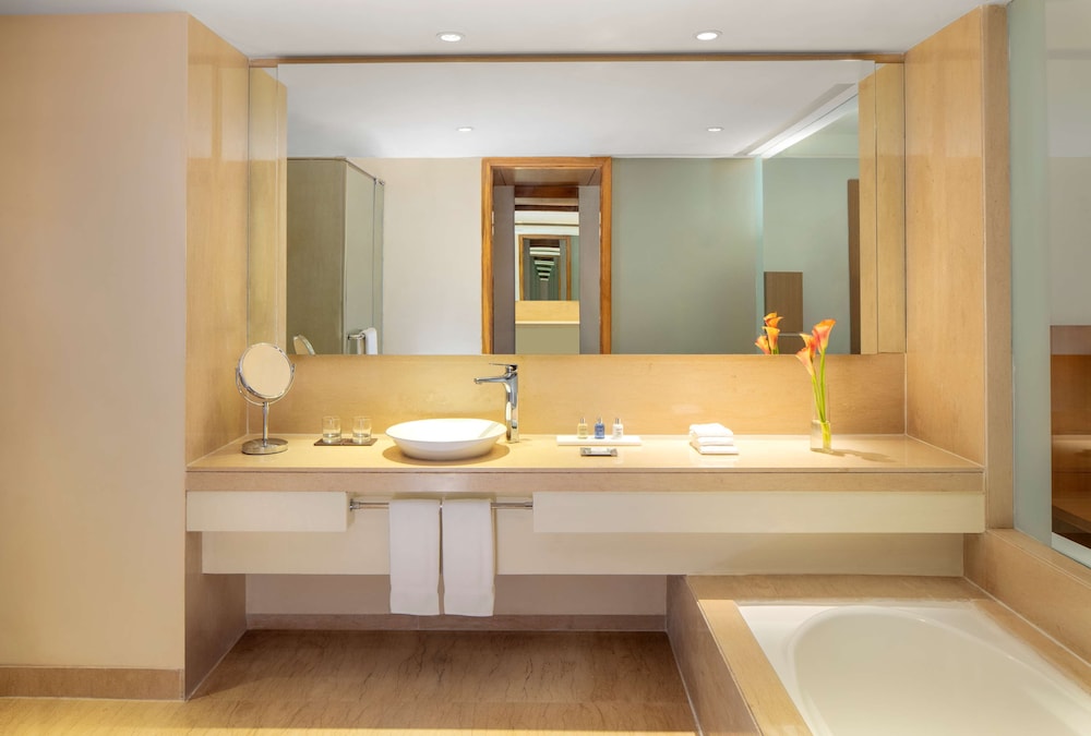 Radisson Blu Plaza Hotel Hyderabad Banjara Hills 10/73