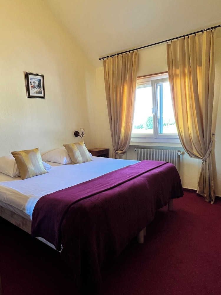LOGIS HOTEL DES ROCHES 10/60