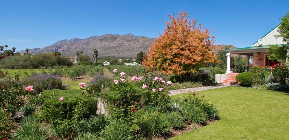 Montagu Vines Guest House 27/50