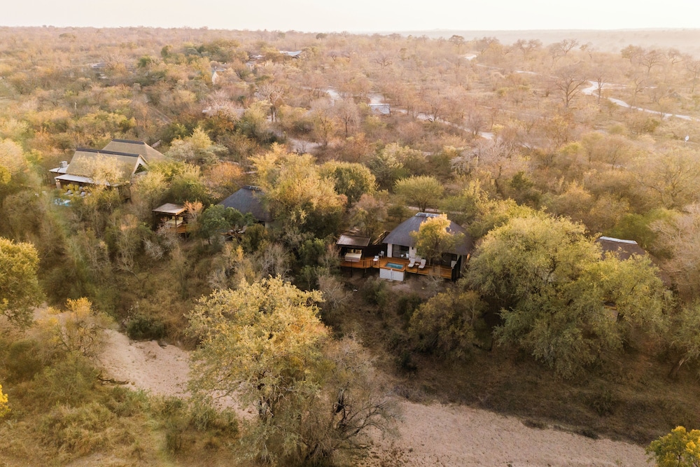 Simbambili Game Lodge 54/59
