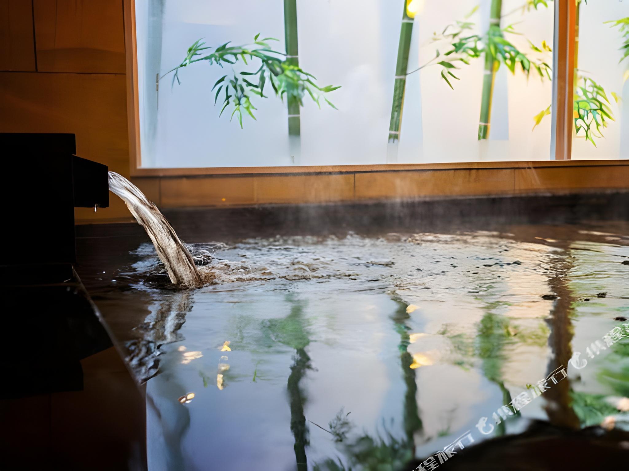 Super Hotel Gotsu Ekimae 16/25