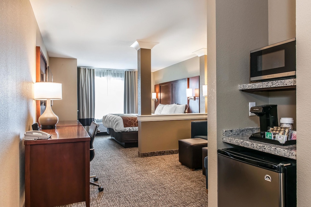 Comfort Suites Rensselaer Near Fair Oaks 25/42