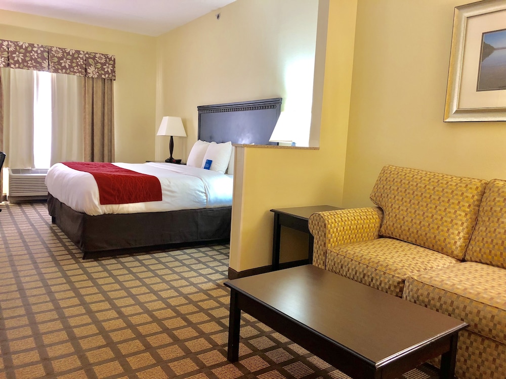Comfort Inn & Suites Montgomery Eastchase 10/40