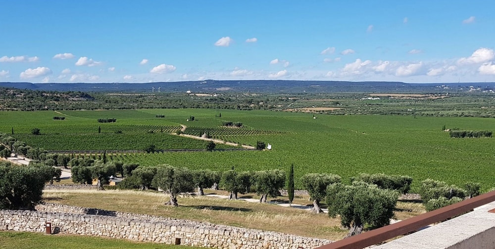 Masseria Amastuola 37/50