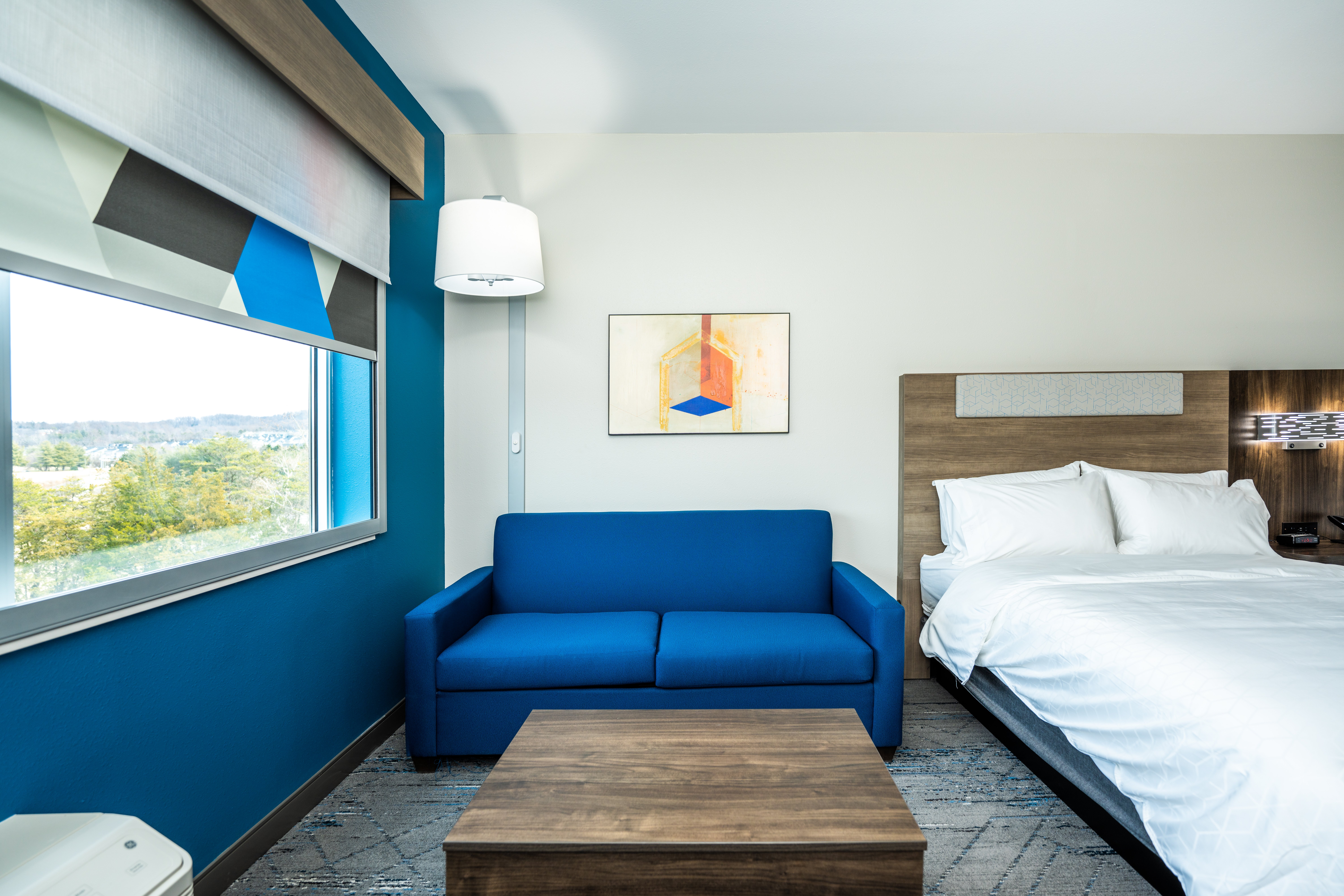 Holiday Inn Express & Suites Charlottesville - Monticello 11/65