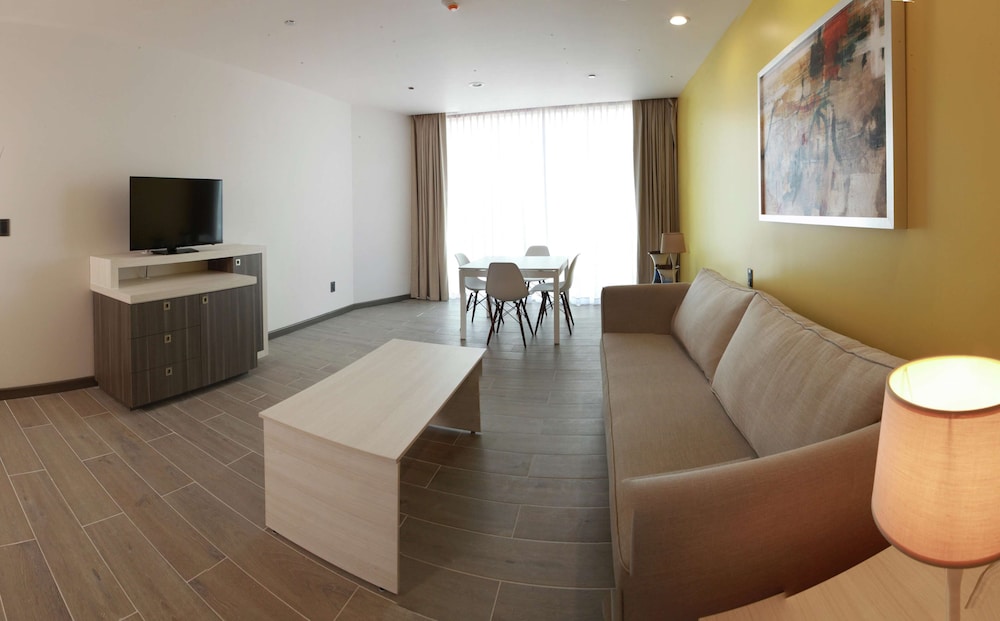 Hampton Inn Suites By Hilton Aguascalientes Airport 42/58