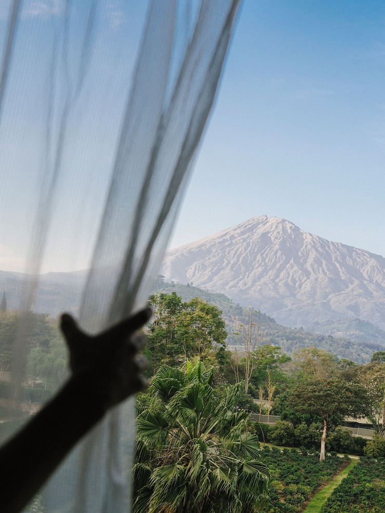 Gran Melia Arusha 65/73