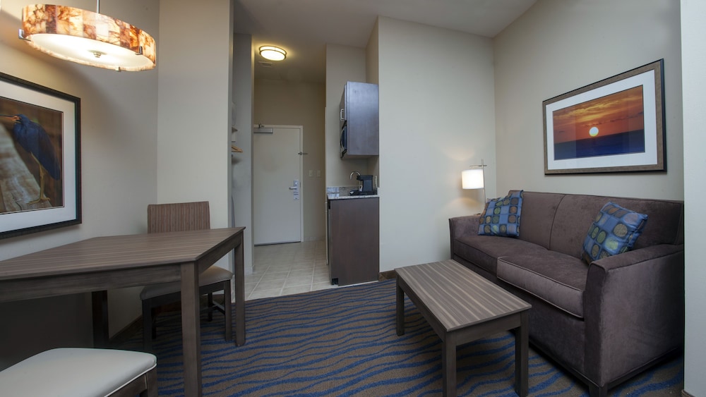 Holiday Inn Express Suites Morgan City Tiger Island 32/50