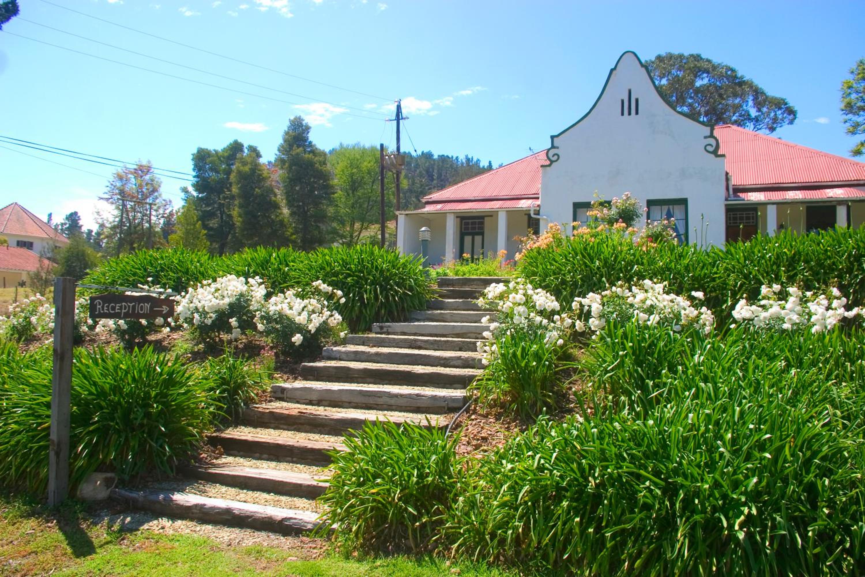 Over the Mountain Guest Farm 15/25