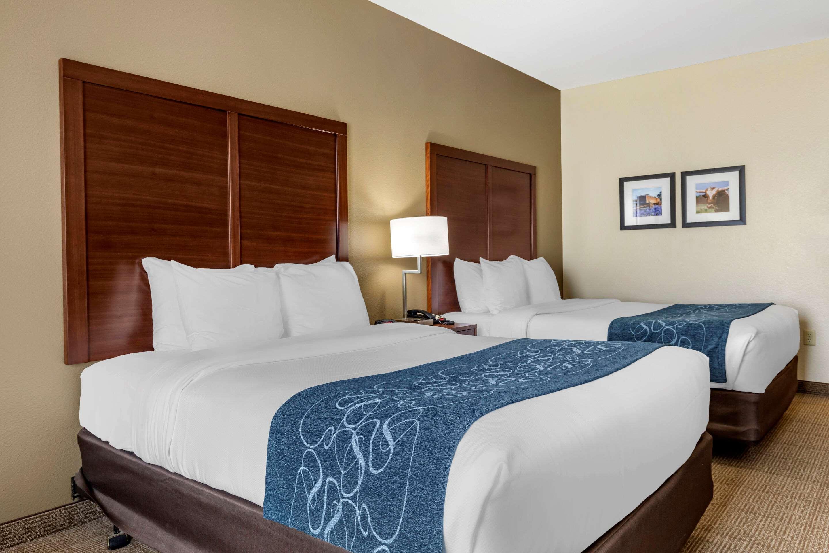Room, Quadruple, Queen Bed, Accessible
