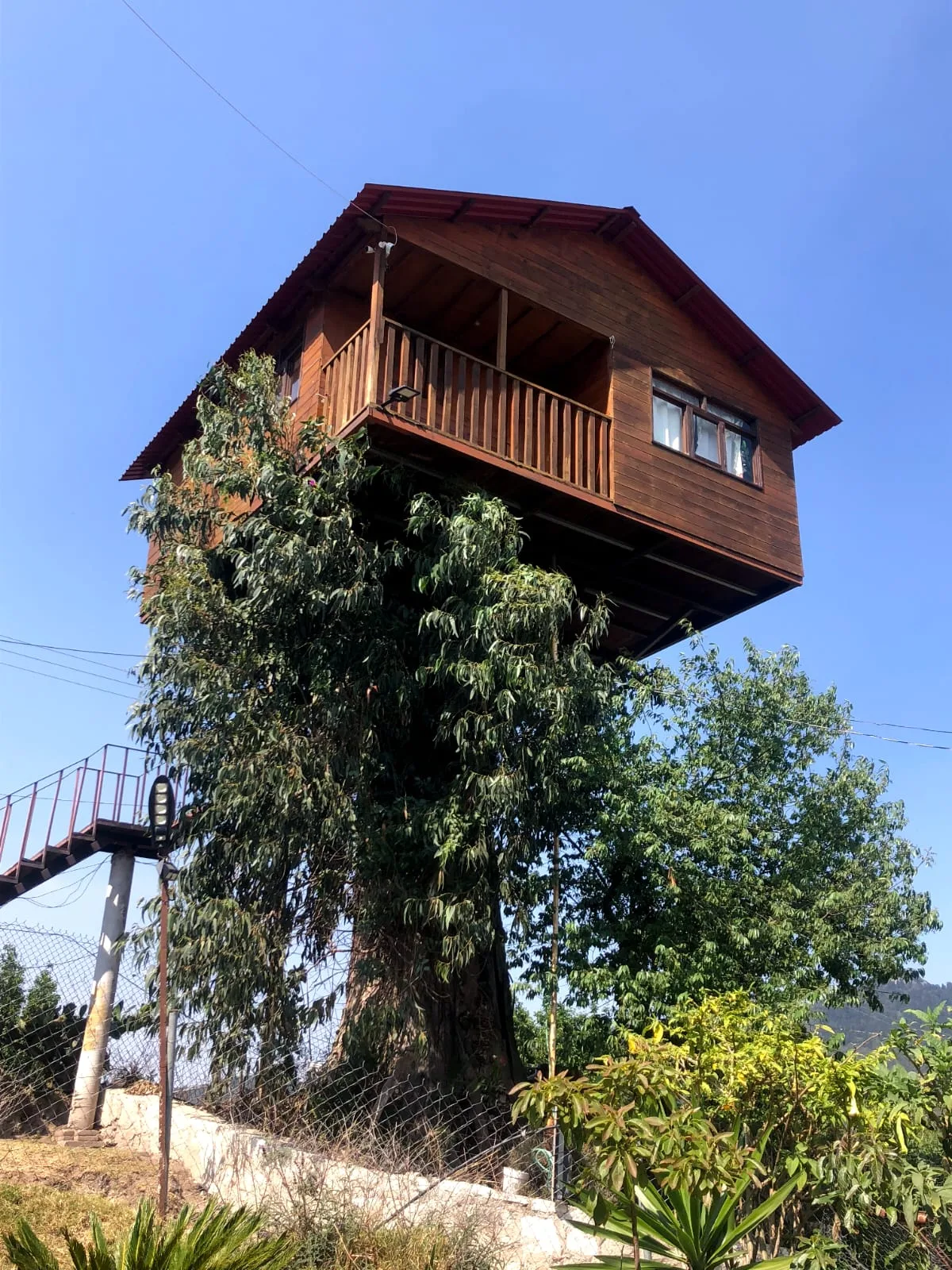 Casita del arbol Trini By GEstores 2/30