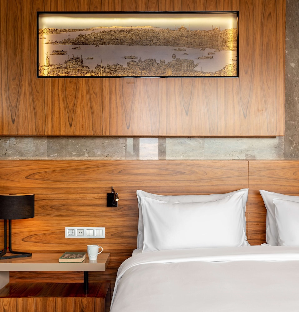 Radisson Blu Hotel Istanbul Asia 17/79