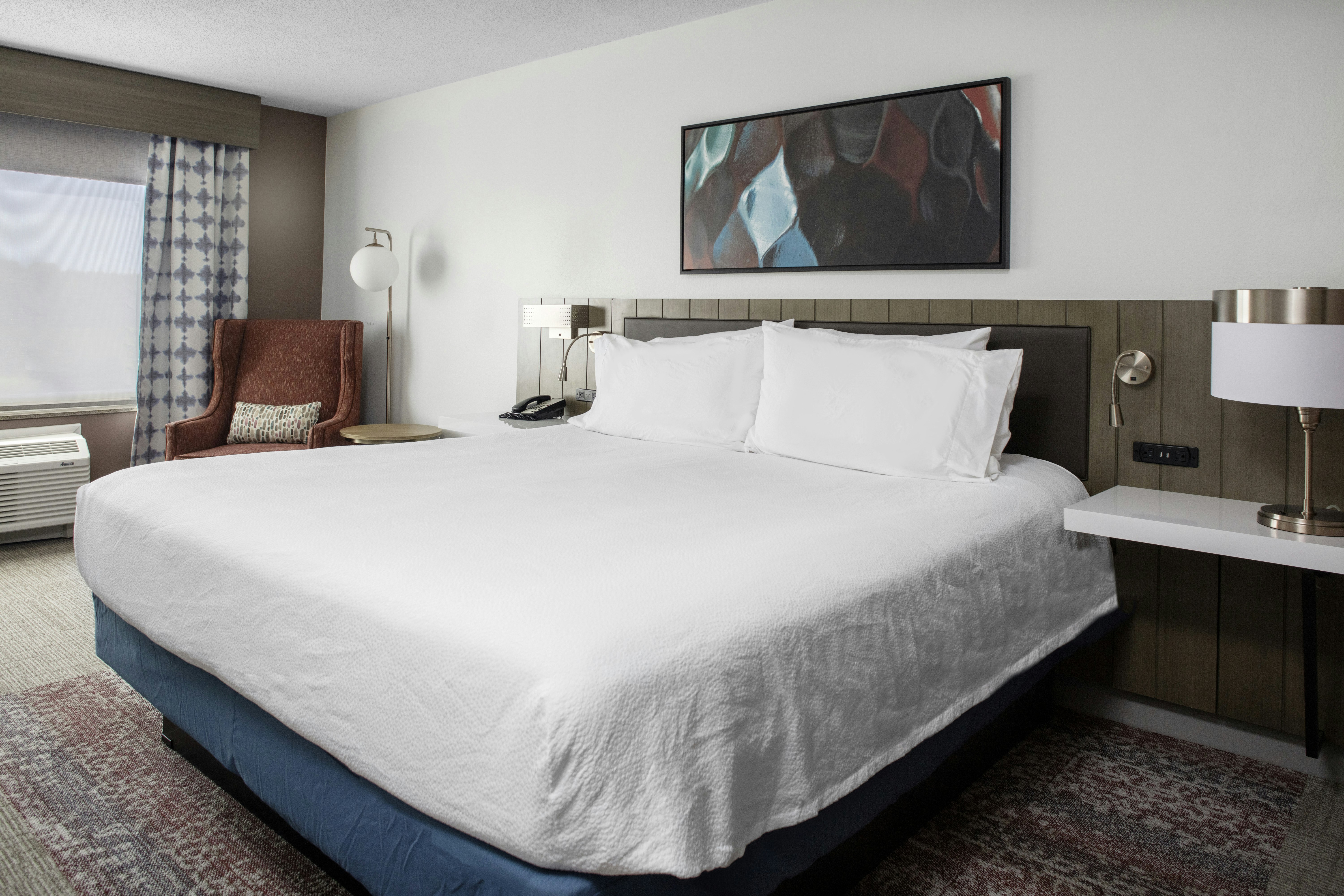 Room, King Bed