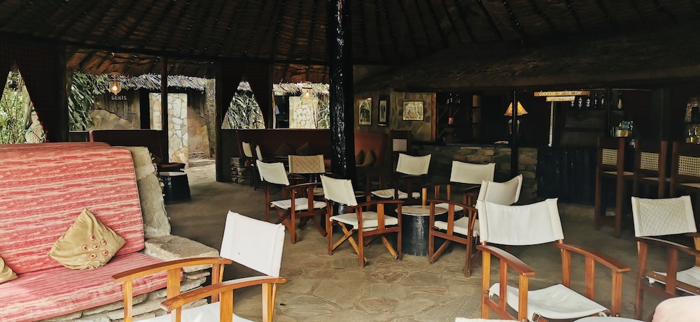 Fig Tree Camp 20/45