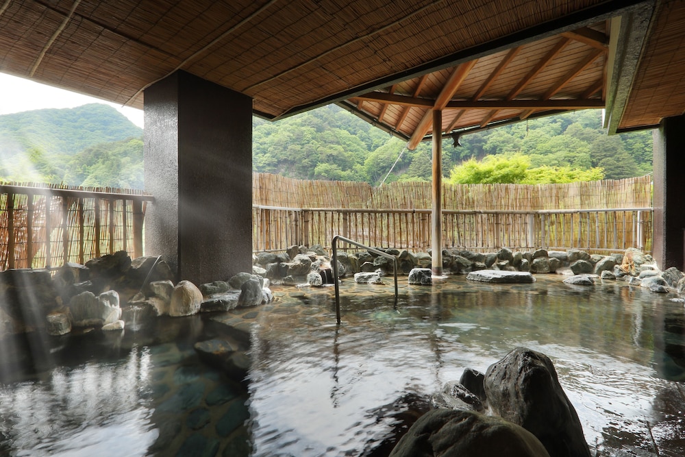 Hotel Sunshine Kinugawa 25/70