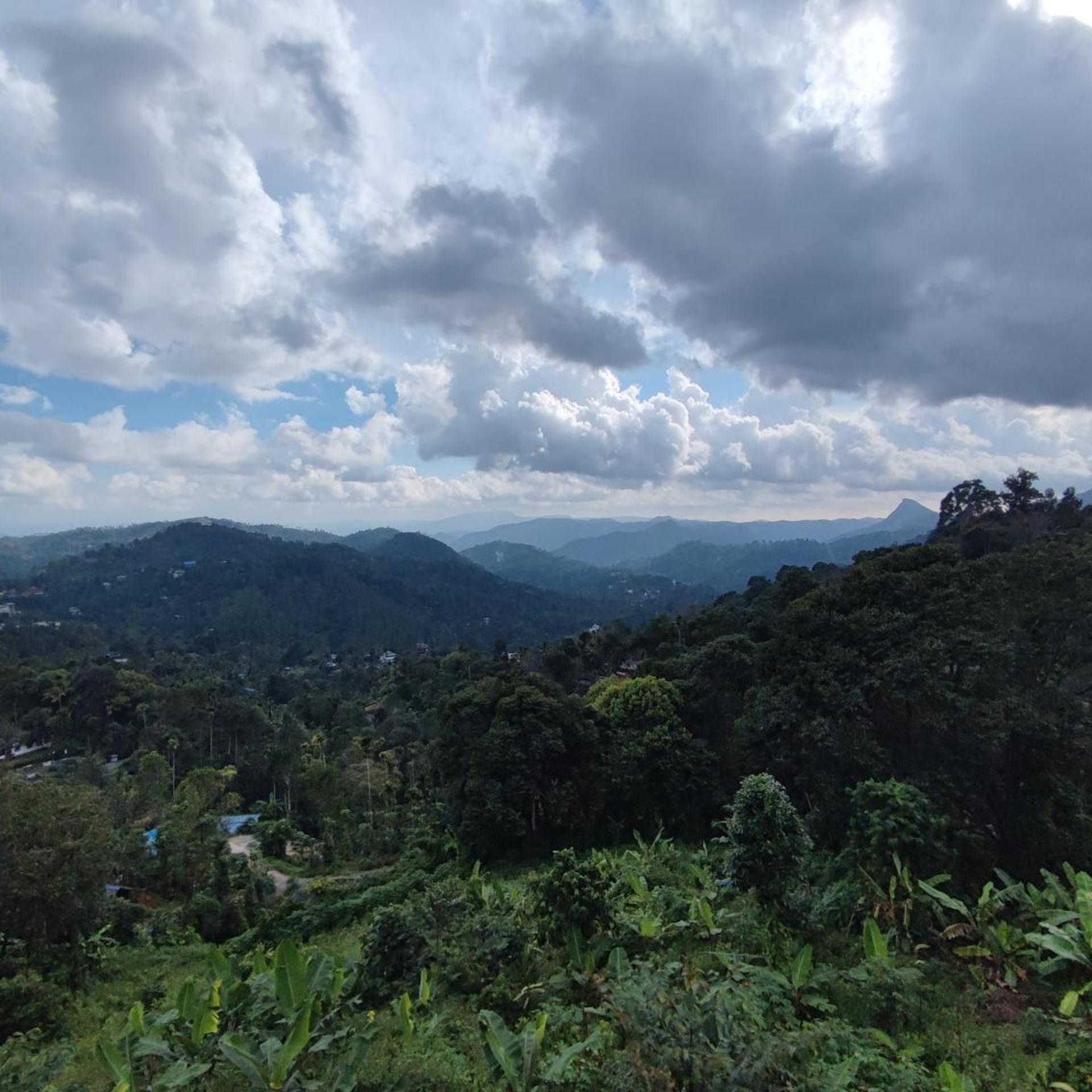 Munnar Tea Country Resort 33/47