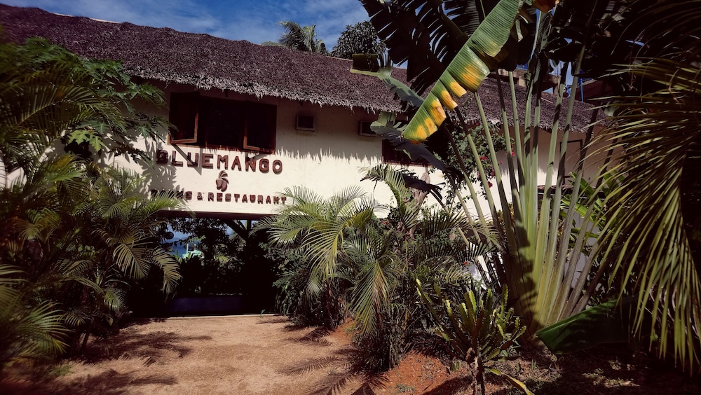 Bluemango Rooms & Villas 47/50