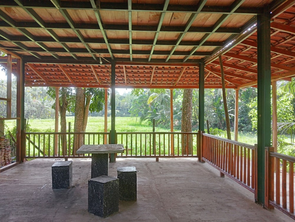Green Herbal Ayurvedic Eco-Lodge 49/54