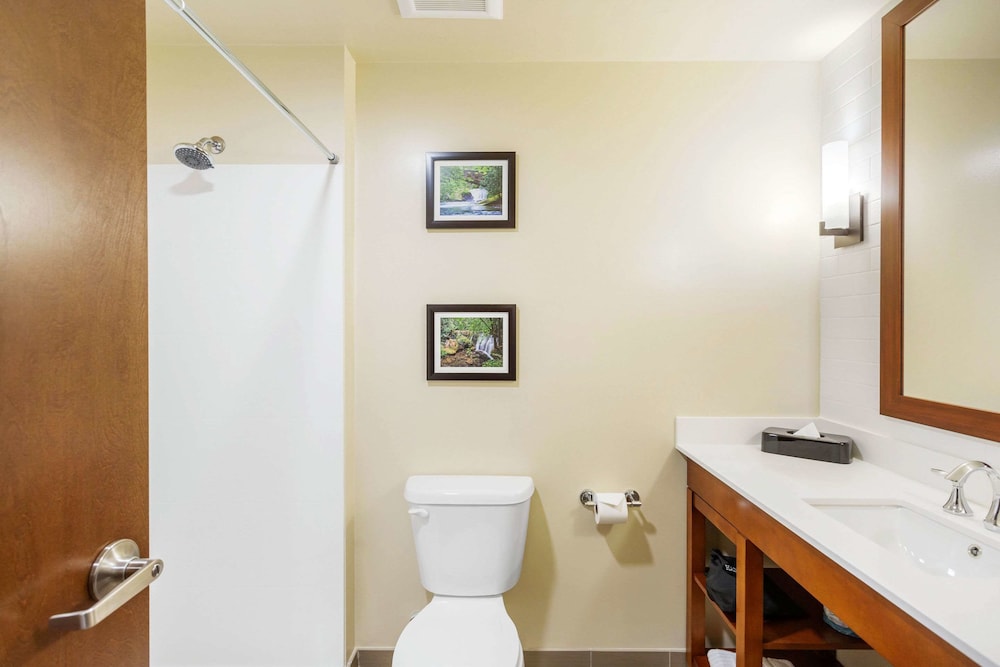 Comfort Suites Burlington Near I-5 13/37