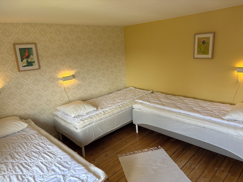 Room, Triple, 3 Beds, Shared Bathroom