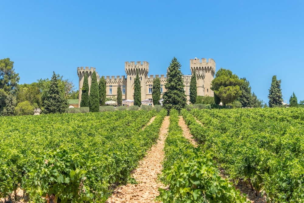 Host Du Chateau Des Fines Roches 31/40