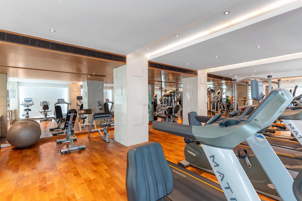 Park Plaza Delhi CBD Shahdara 43/72