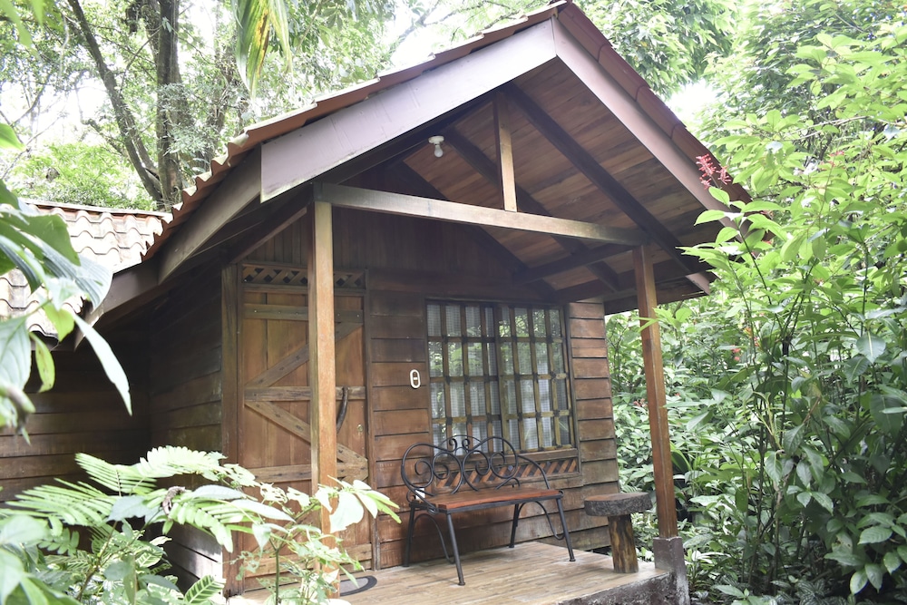 Arenal Oasis 6/50