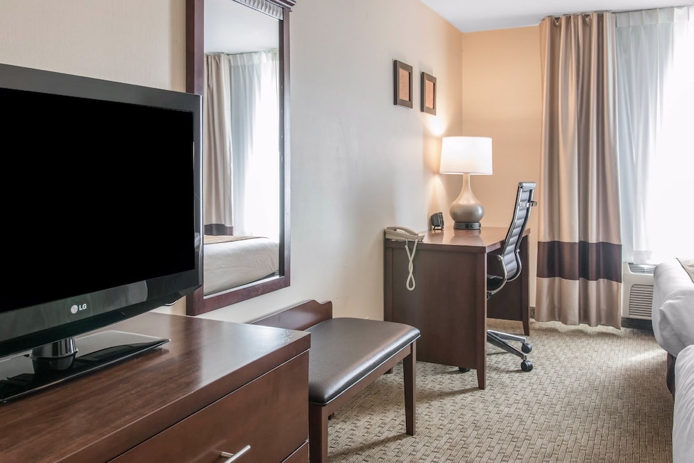 Comfort Suites Wixom - Novi 31/32