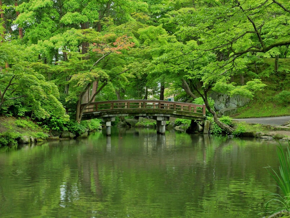 Toyoko Inn Morioka Eki Minamiguchi Ekimae 55/58