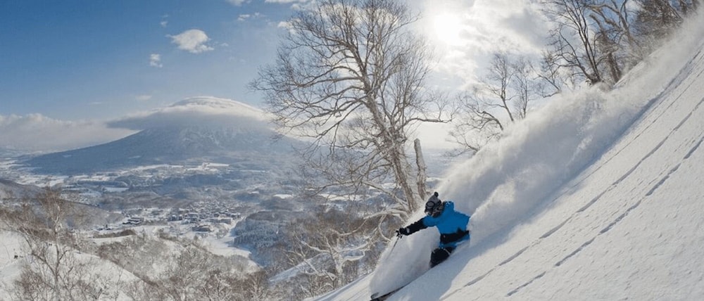 Always Niseko 29/33