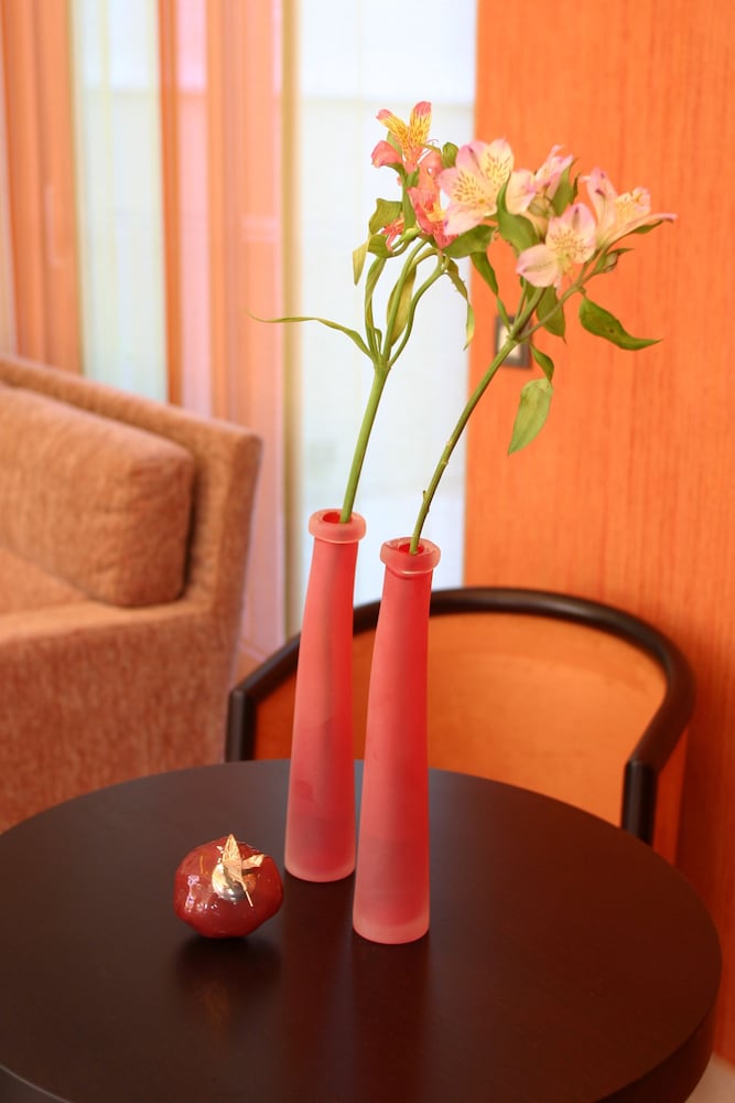 ALEXANDROS BOUTIQUE HOTEL 44/70