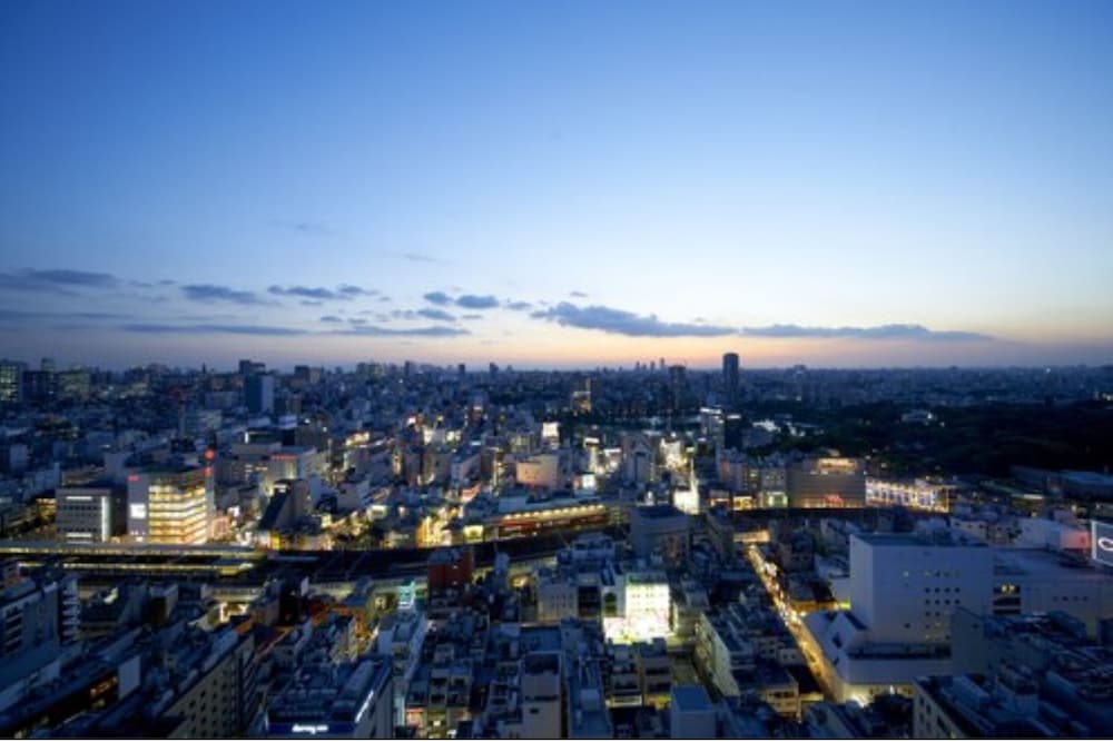 HOTEL Crown Hills Ueno Premier (ex Life Tree Ueno) 49/56