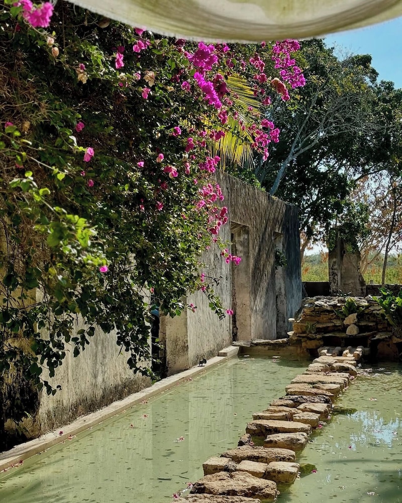 Hacienda Sacnicte 44/50