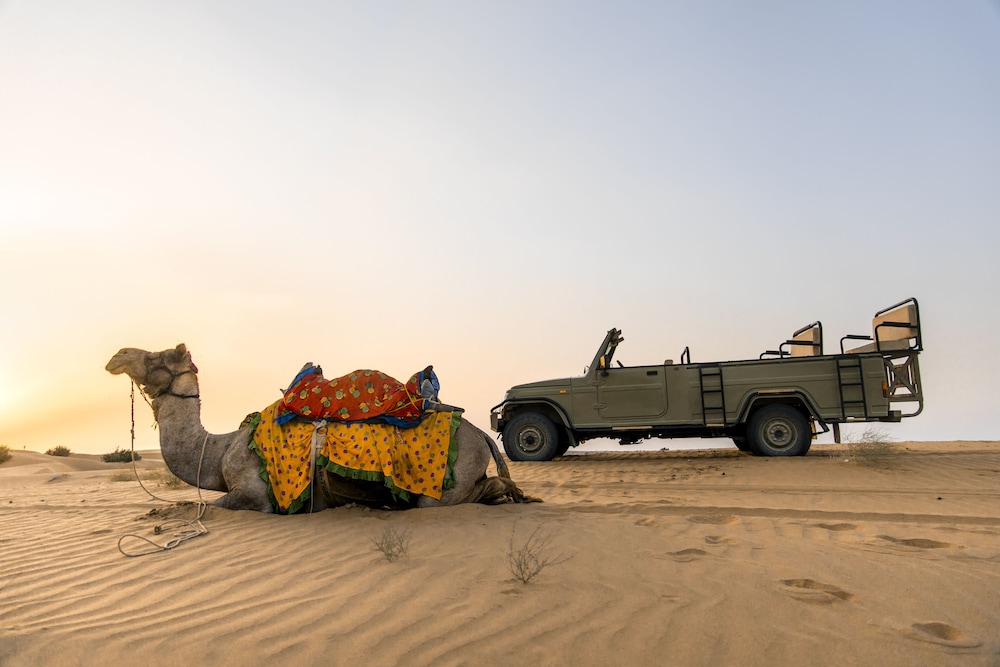 The Kafila Desert Camp 37/50
