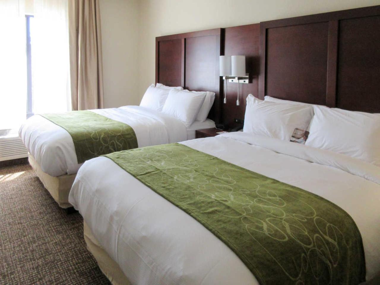Suite, 2 Queen Beds, Large