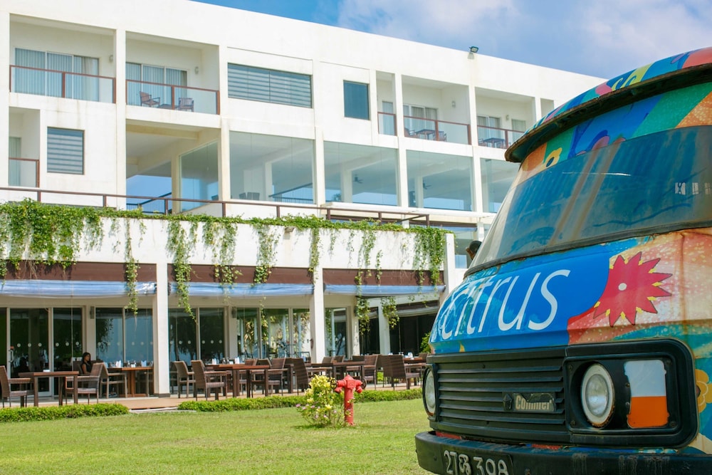 Citrus Waskaduwa Kalutara 8/80