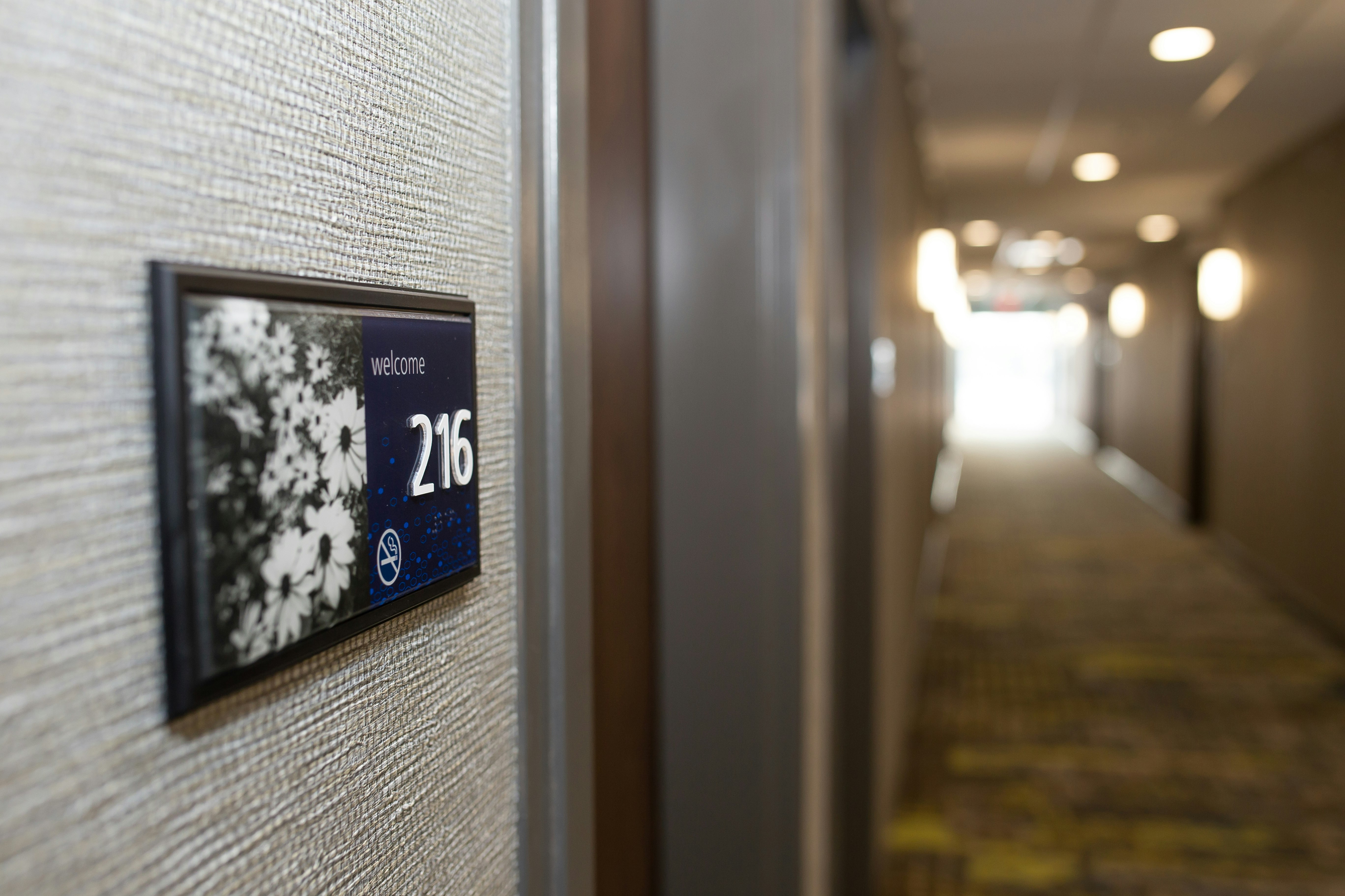 Hampton Inn and Suites Dundee 29/55