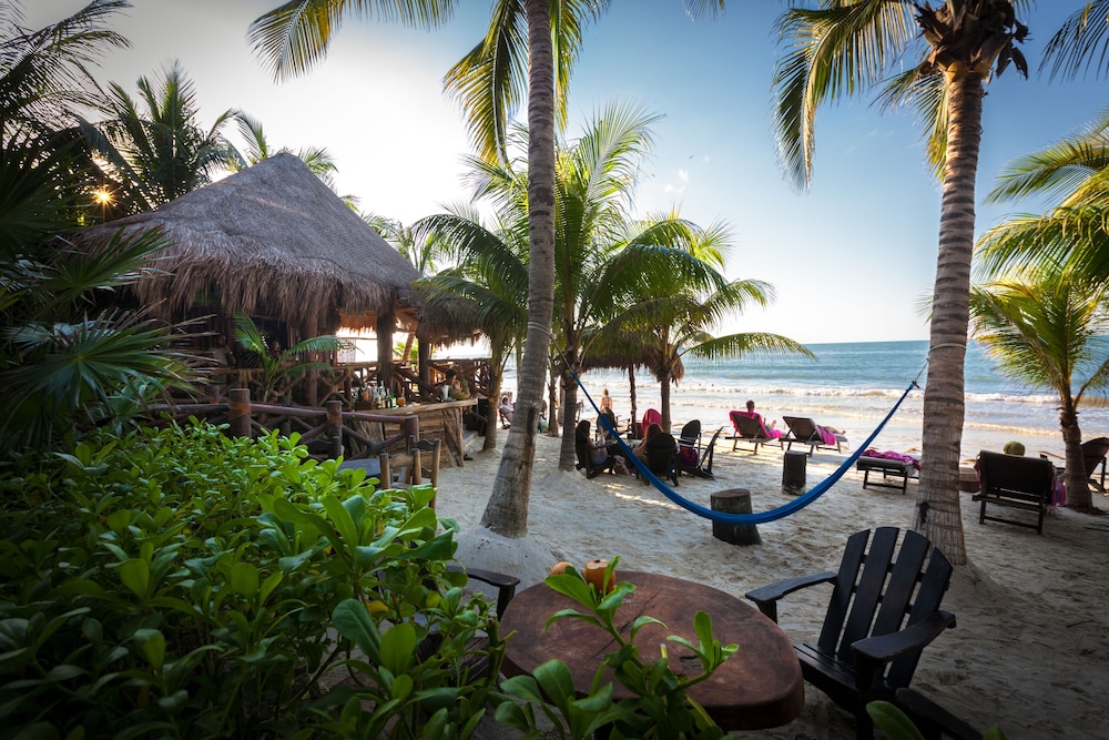 Beachfront Hotel La Palapa - Adults Only 29/36