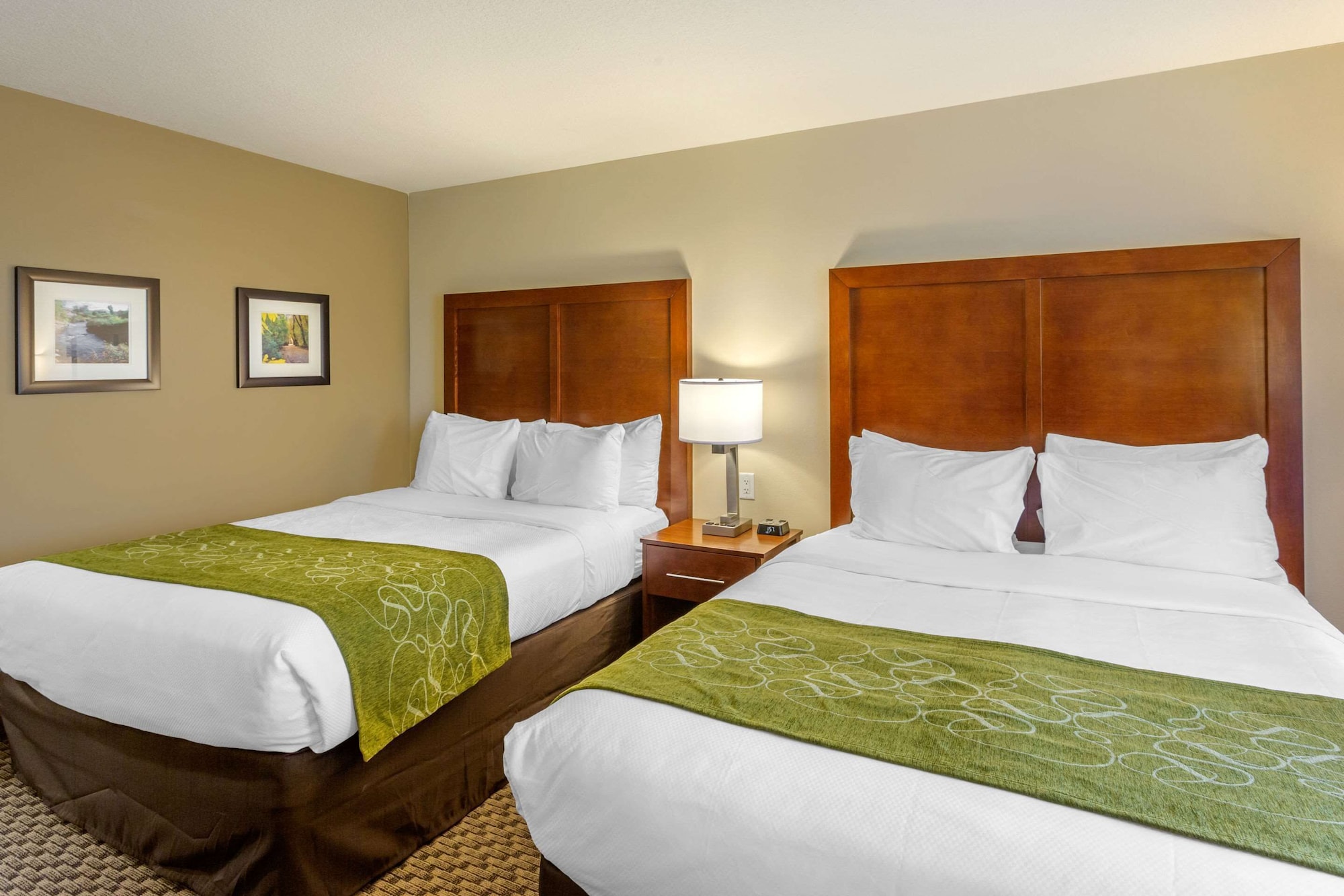 Standard, 2 Queen Beds