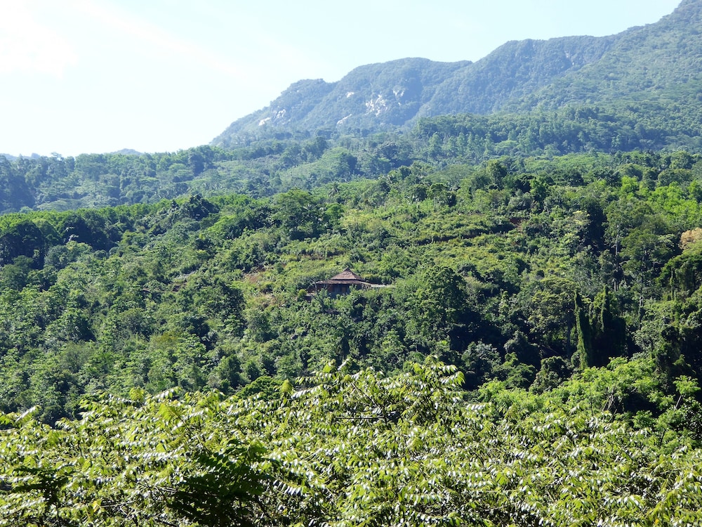 Kurulu Estate 36/50