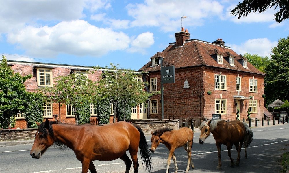 The Bell Inn New Forest 54/58