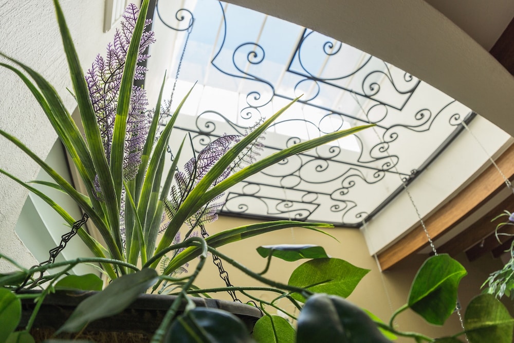 San Pietro Hotel Boutique 35/52
